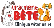Logo Clinique vétérinaire Vraiment Bête